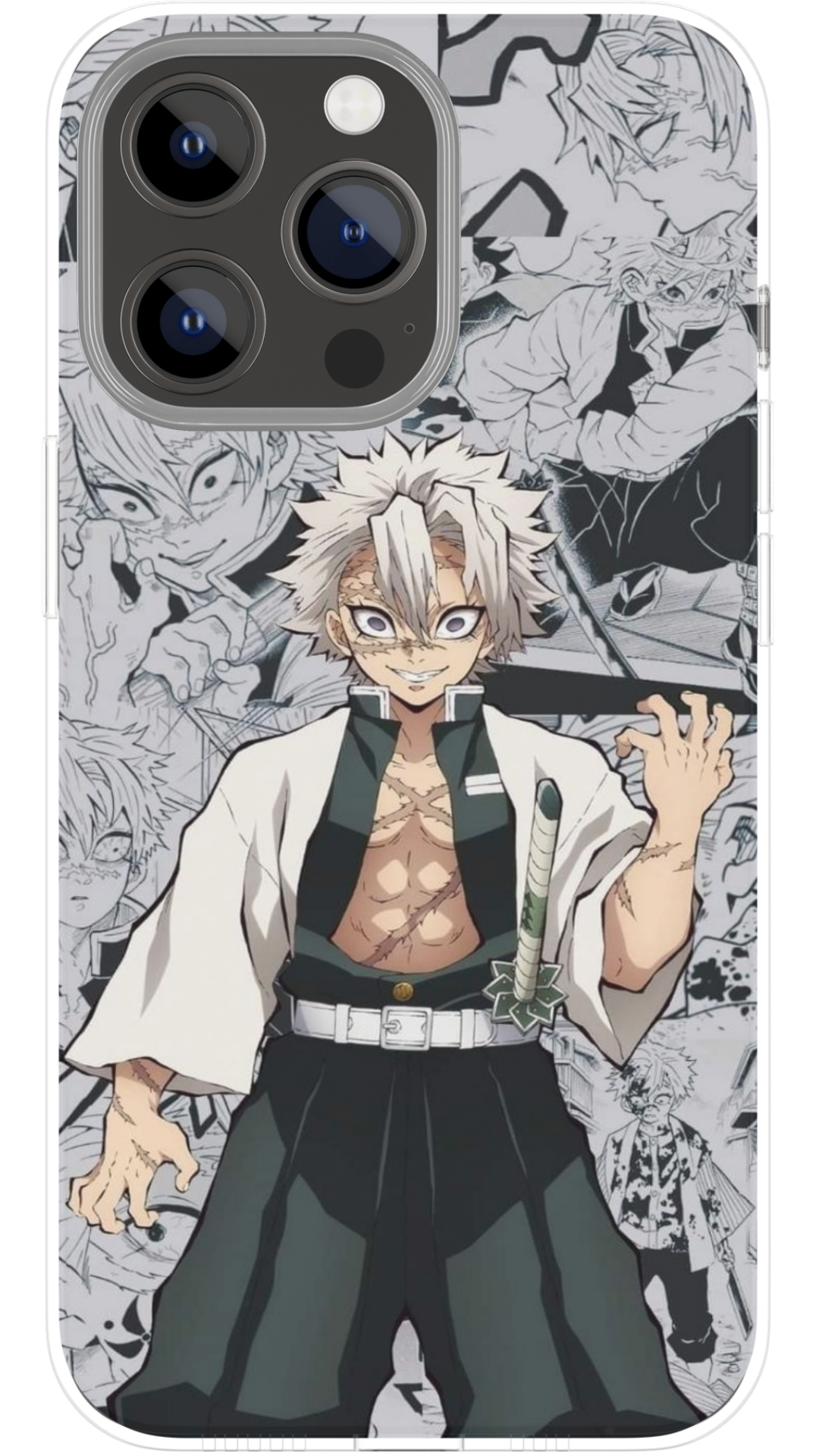 Case Viento Salvaje Manga - Demon Slayer