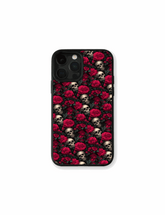 Case Rosas y Calaveras
