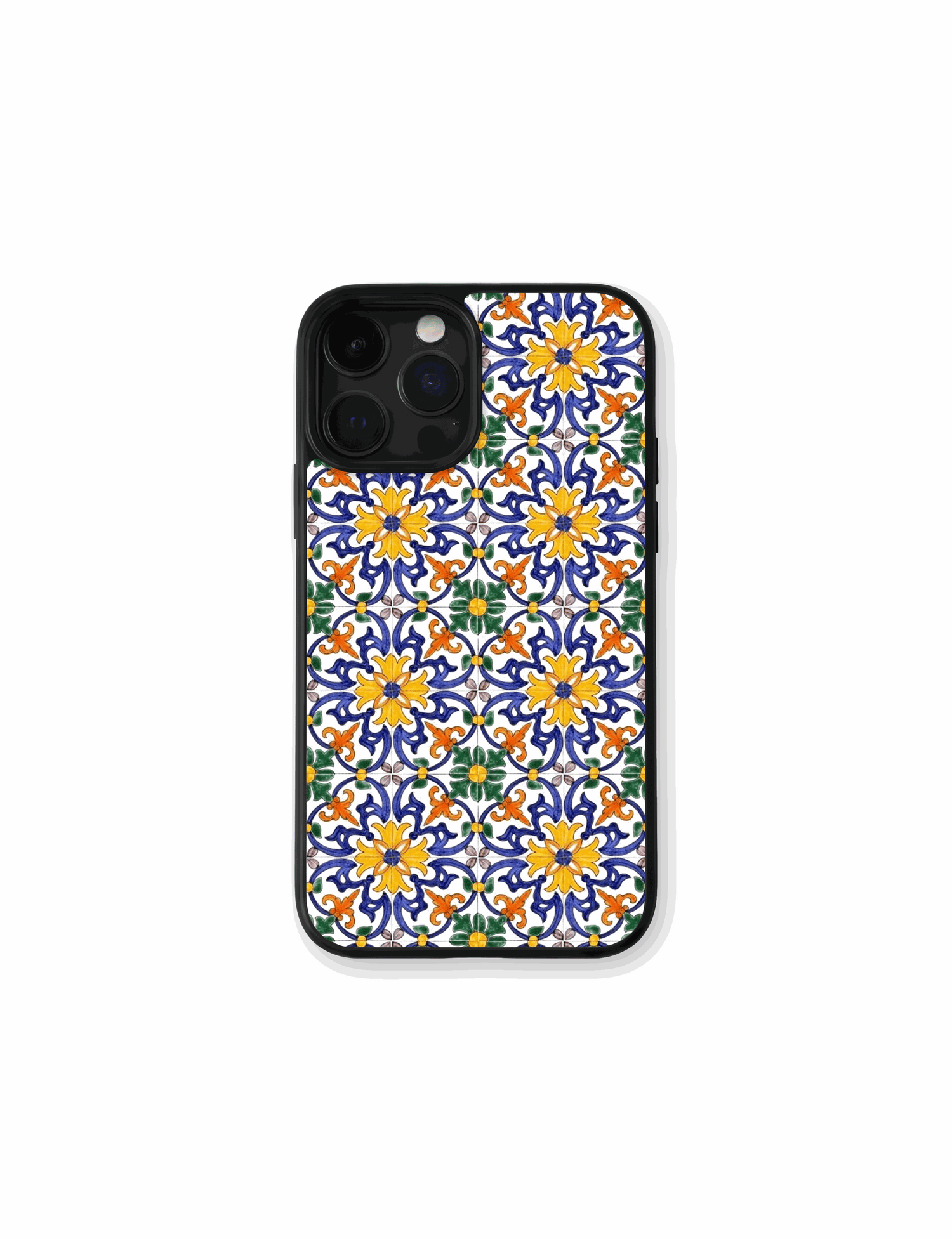 Case Talavera Colorida