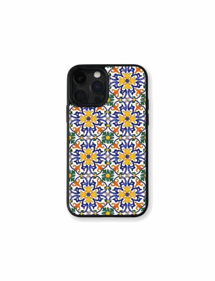 Case Talavera Colorida