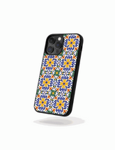 Case Talavera Colorida