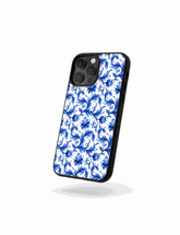 Case Talavera Azul