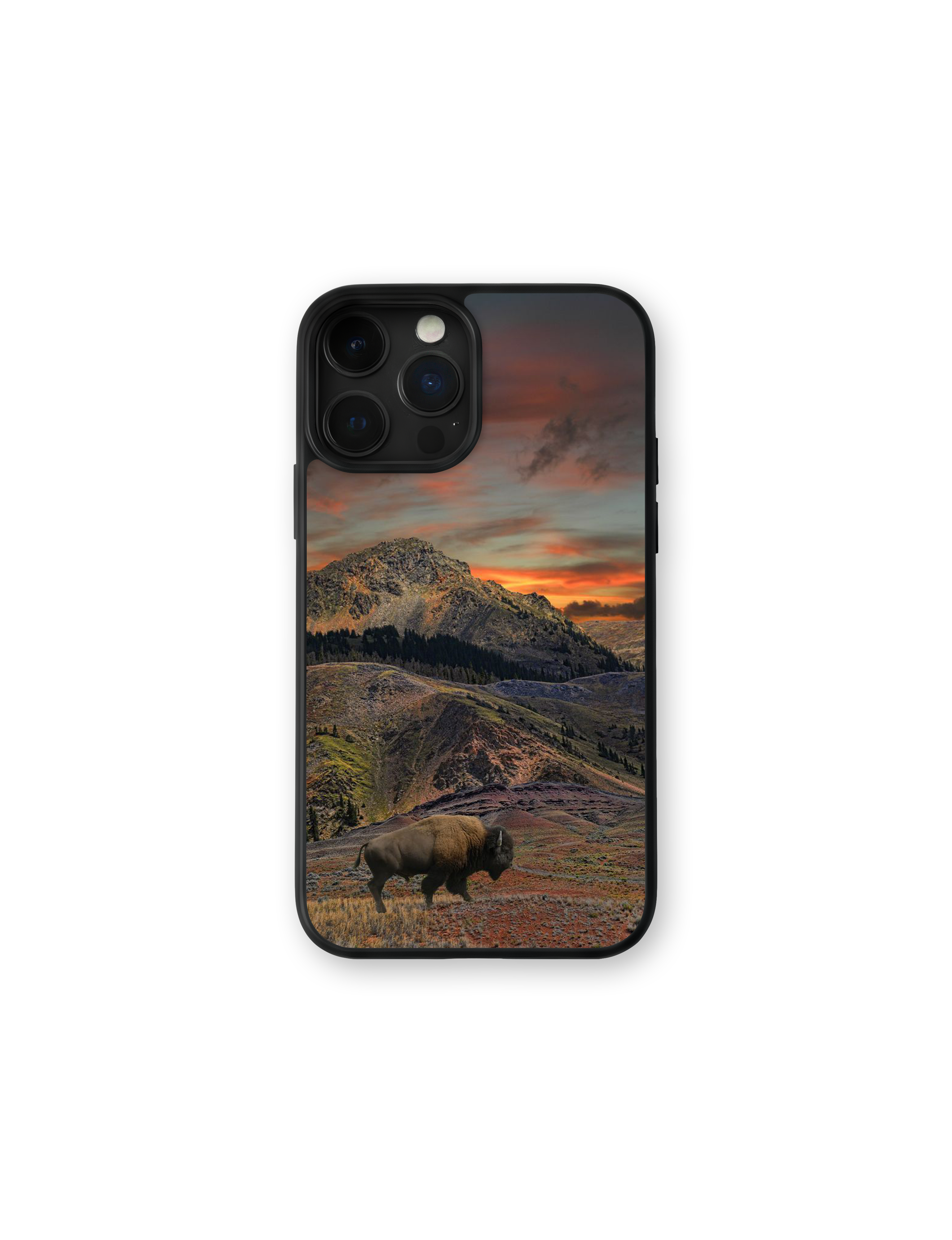 Case Bison Sunset - Cowboy Style